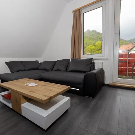Guest house Feise 3*